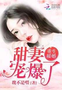 重生暖婚甜妻宠暴了