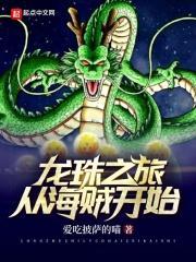海贼之龙珠召唤系统