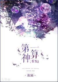 第一神算 txt