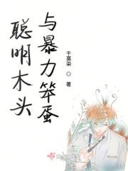 聪明加笨蛋是什么意思