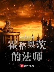 霍格沃茨的元素法师