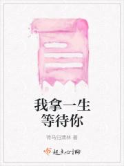 我用一生等你可不可以原唱