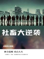 靠签到