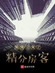爱情公寓5分级剧情