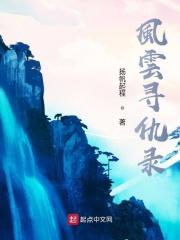 风云探案