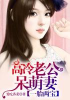 一胎两宝 高冷老公呆萌妻