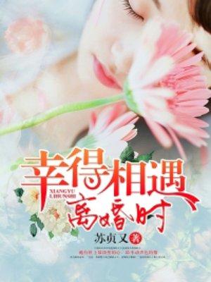 幸得相遇离婚时免费无弹窗阅读