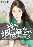 我的绝世美女总裁都市文