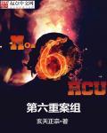 第六重案组第三部