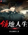 领地人生怎么设置中文