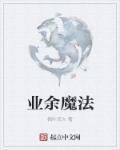 关于魔术的职业