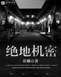 绝地机密电视剧免费观看