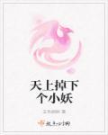 天上掉下个小包子免费阅读