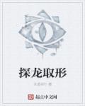 探龙主角是谁