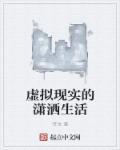 虚拟与现实的说说