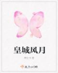 皇城风月丽春院头牌免费阅读笔趣阁