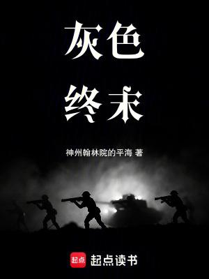 灰色系列后续