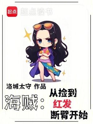 海贼从捡到红发断臂开始作者洛城太守
