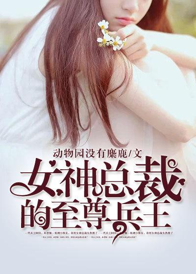 女神总裁的至尊兵王莫辰