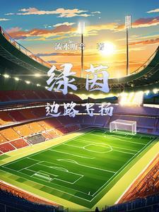 足球类的系统