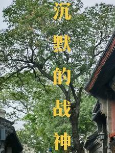 沉默的战争漫画