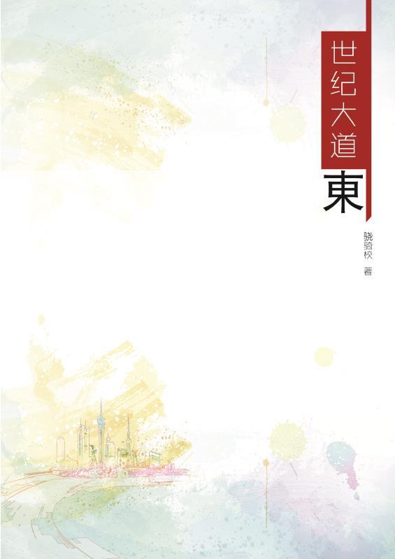 世纪大道什么区
