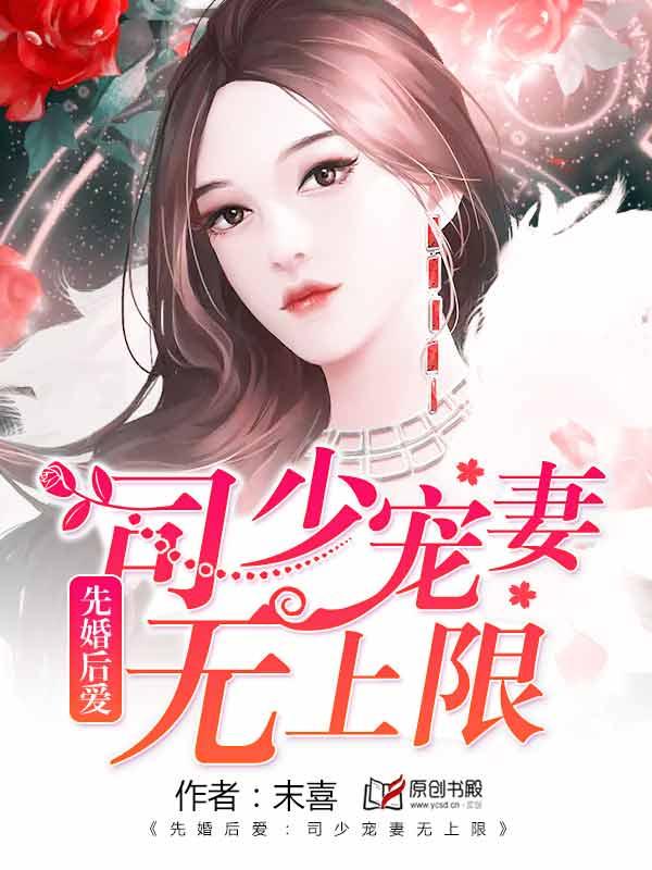 司少宠妻1314