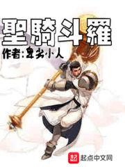 斗罗大陆之圣骑士
