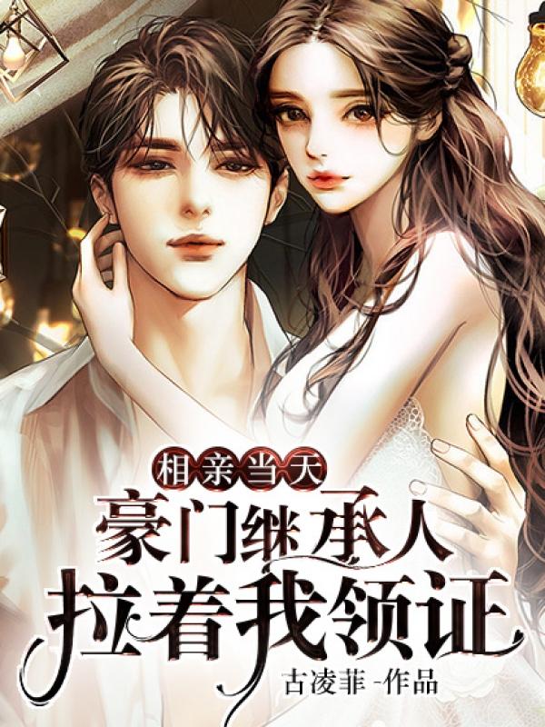 闪婚老公竟是总裁大人