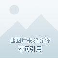 乱战异世之召唤群雄免费阅读