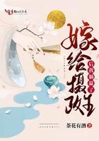 嫁给摄政王简介