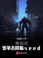 高达00中的变革者是什么