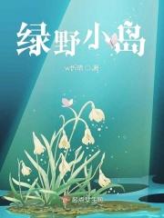 绿野仙踪小岛