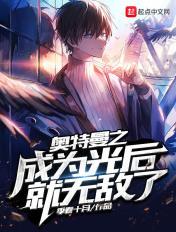奥特曼之光与影
