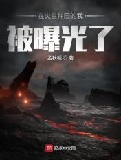 在火星上