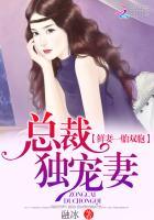 一胎双宝总裁娶妻套路